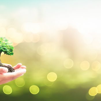ENVIRONMENTAL LAWS IN INDIA