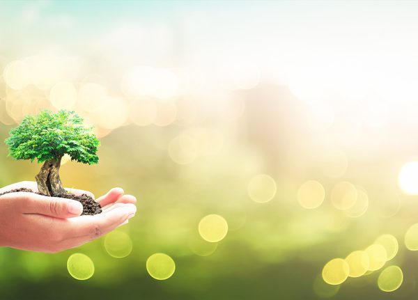 ENVIRONMENTAL LAWS IN INDIA